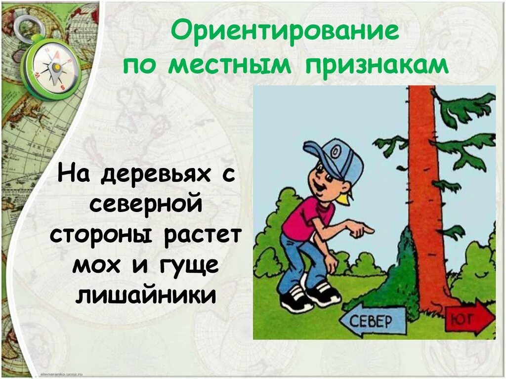 Признаки ориентирования по местности. Ориентирование по местным признакам. Местные признаки ориентирования. Способы ориентирования в лесу. Ориентирование на местности это 2 класс