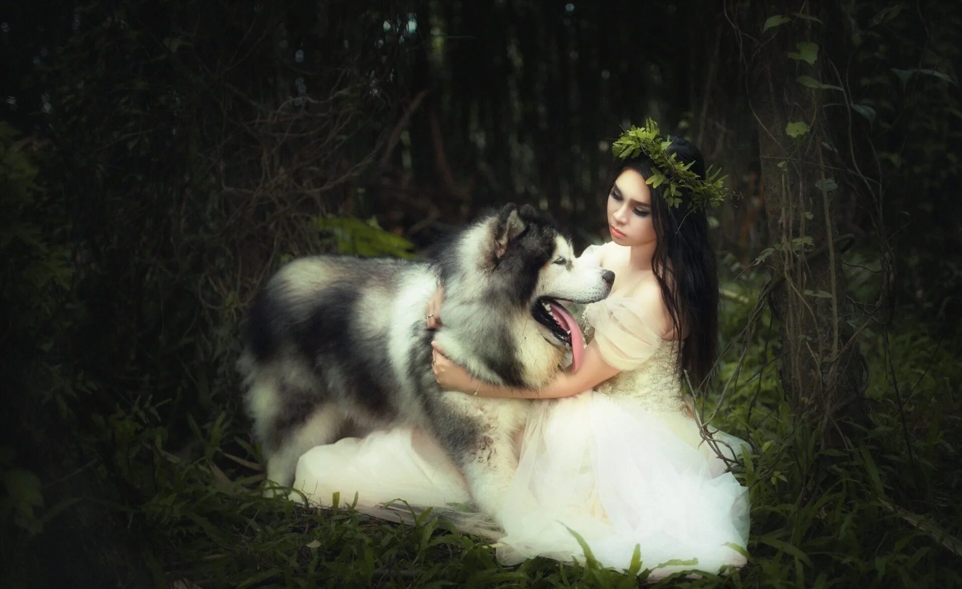 Woman with animals. Маламут. Фотосессия с собакой. Профессиональная фотосессия с собакой. Девушка с собакой.