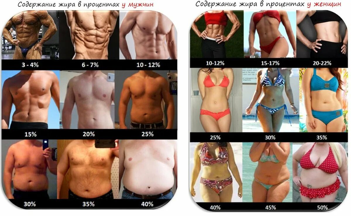 Процент жировой ткани. Процент жира у мужчин. Vghjwtyn ;BHS E ve;XBY. Таблица подкожного жира.