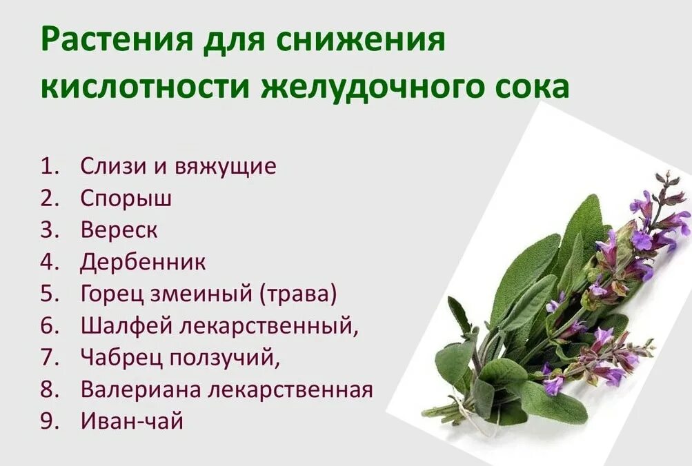 Народные средства понижающие кислотность