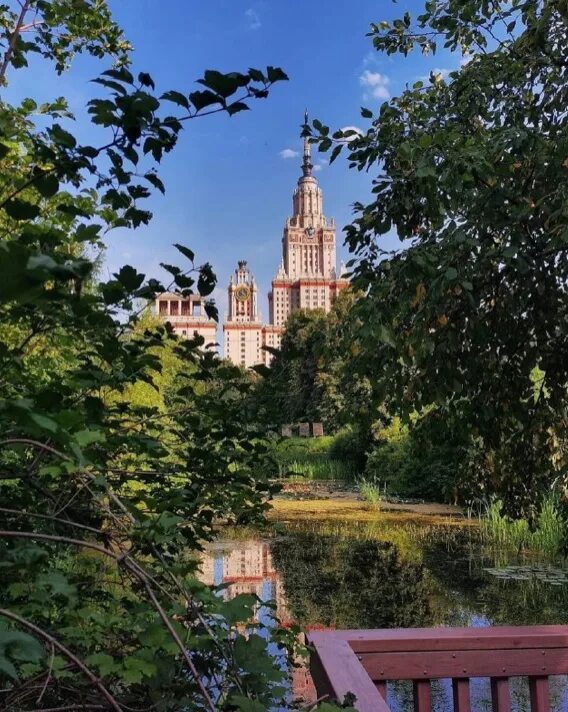 Сад мгу. Ботанический сад мгу. ботанический сад мгу на воробьевых горах. ботанический сад мгу имени м. в. ломоносова «аптекарский огород». ботанический сад мгу сергиев посад.