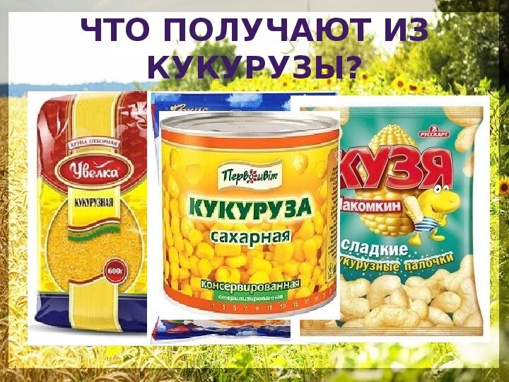 Продукция из кукурузы. Продукты получаемые из кукурузы. Кукуруза в магазине. Кукуруза что получают.