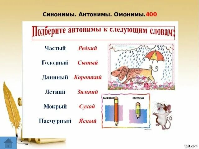 Примеры синонимов омонимов. Синонимы антонимы омонимы. Синонимы антонимы омонимы задания. Антонимы омонимы. Синоним омоним антоним омоним.