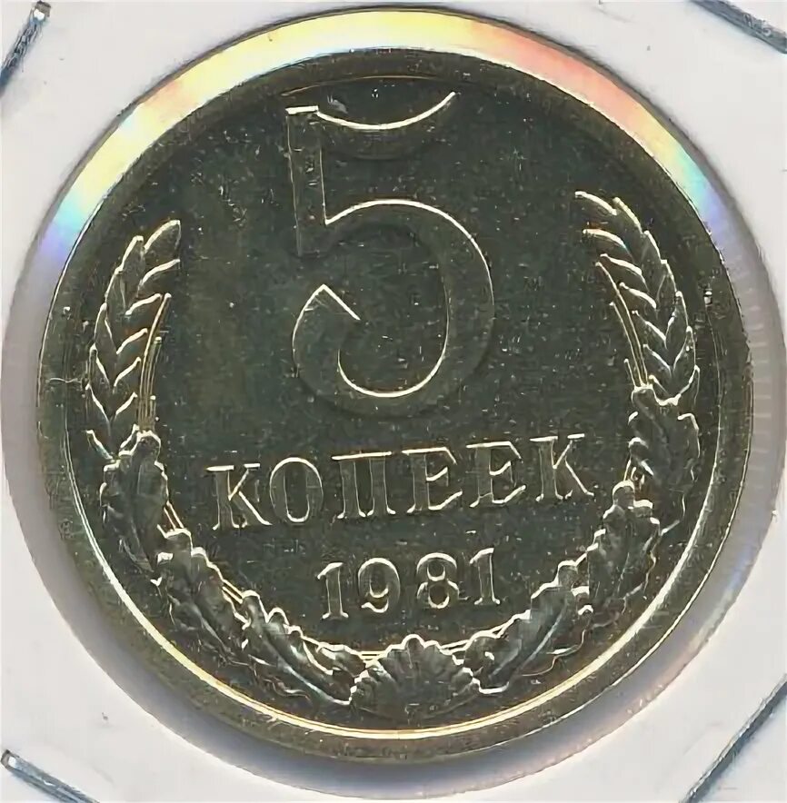 Календарь за 1981 год по месяцам. 1981 год сколько лет будет. Знаки по годам рождения. Таблица заработной платы для начисления пенсии. Монета ссср 3 копейки 1981 г.