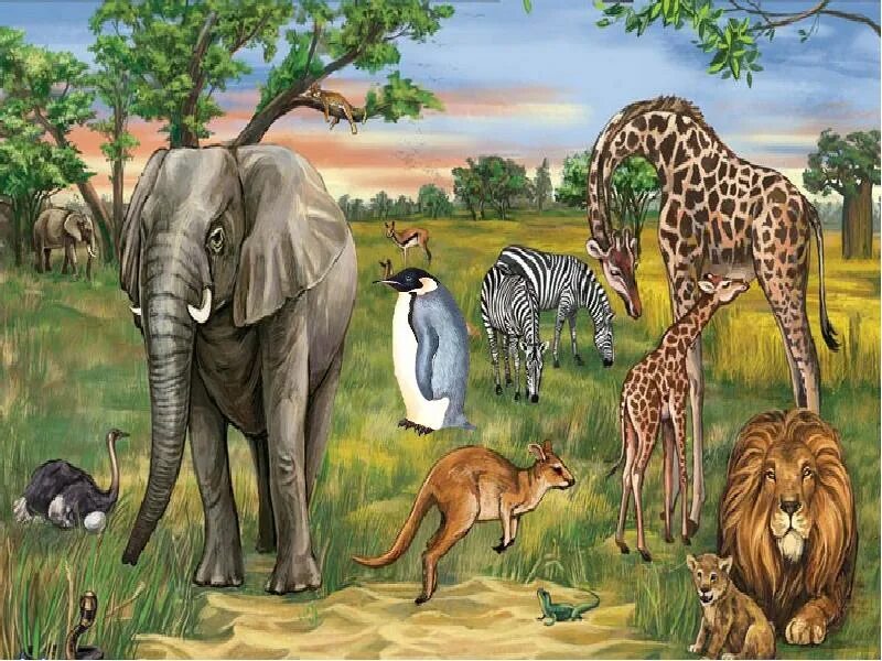 Животные африки старшая группа. Животные жарких стран. Животные саванны для детей. Дикие животные жарких стран. Животные Африки для детей.