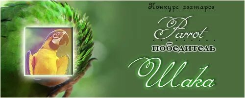 Дневник vips. Дневник vips