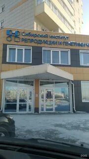 Сибирский институт репродукции и генетики человека барнаул