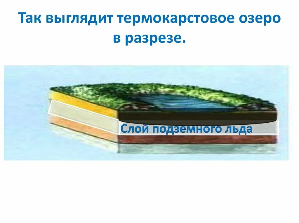 Термокарстовые озера примеры. Термокарстовые озера схема. процесс образование термокарста. термокарстовые озера схема образования. термокарстовые котловины схема.
