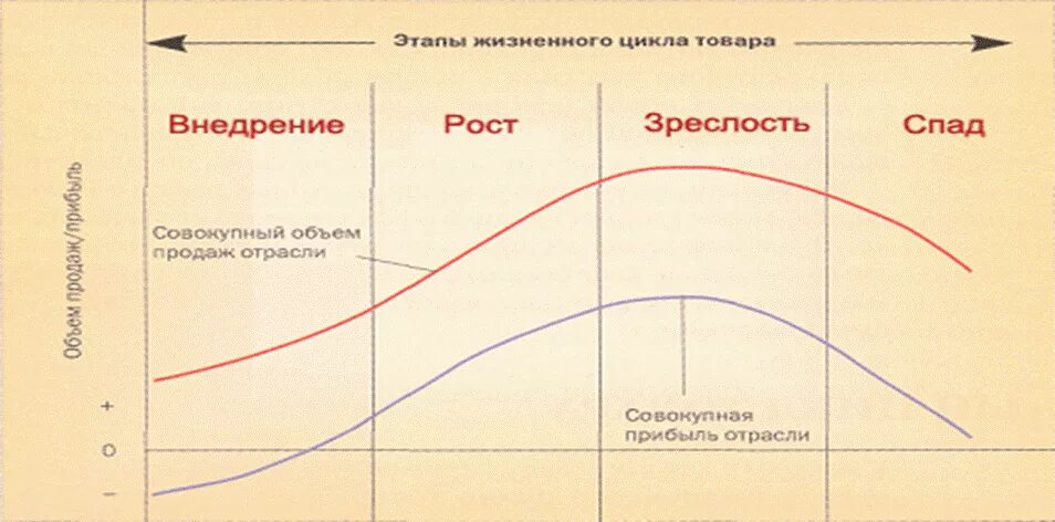 Политика жизненного цикла