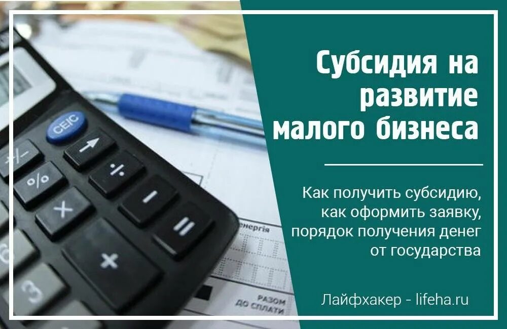 Получение субсидий от государства для малого