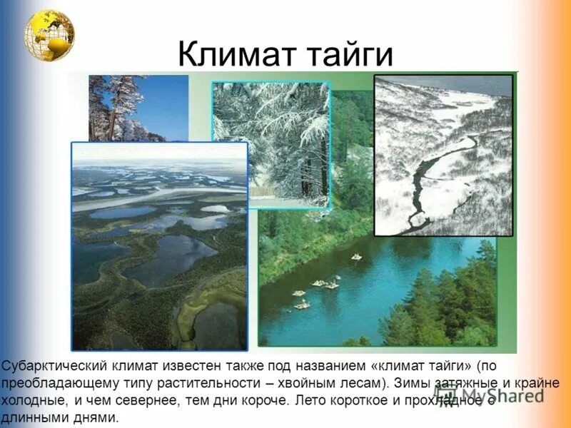 Количество осадков в тайге северной америки. Климатическая зона тайги. Климат тайги климат тайги. Особенности климата тайги. Название климата в тайге.