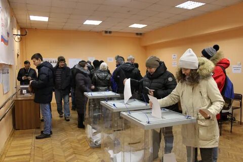 Выборы внутри партии