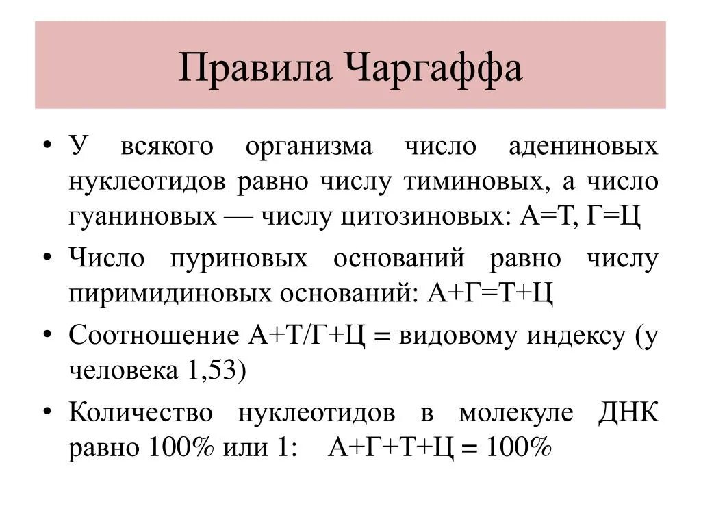 Сколько нуклеотидов содержит м рнк. Правило Чаргаффа на нуклеотиды. Принцип комплементарности правило Чаргаффа. Правило Чаргаффа для ДНК. Правила Чаргаффа для РНК.