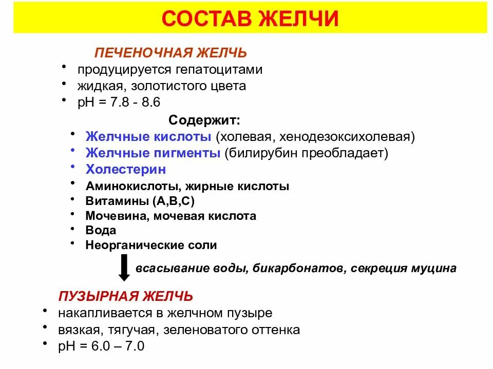 Какого цвета выходит желчь