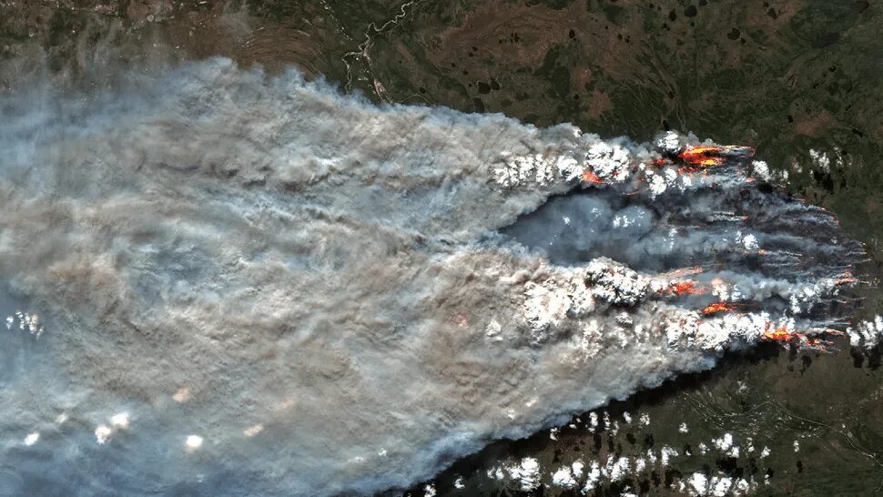 Фото пожаров с высоты в голливуде Donald Trump and California: A battle of wildfires and wills US Elections 2020 A