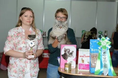 Выставка кошек балаково
