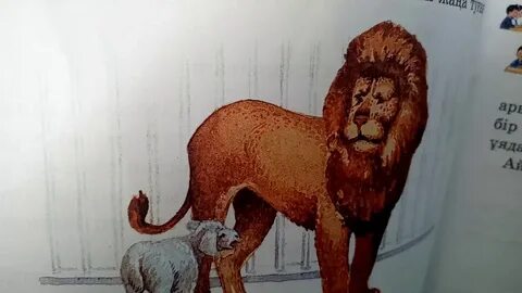 Жалаңаш қыздардың лас биі