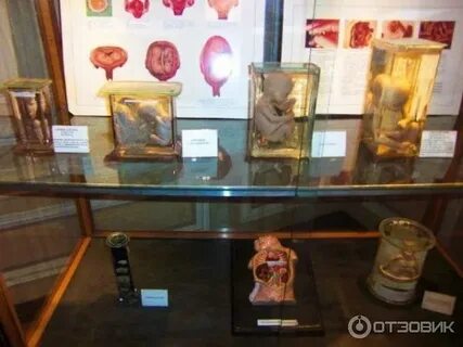 Музей князькина в санкт петербурге распутин