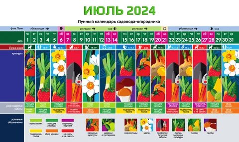 Лунный календарь дачника на июль 2024г
