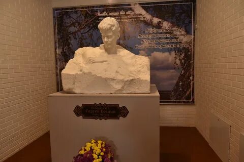 Доктор есенин