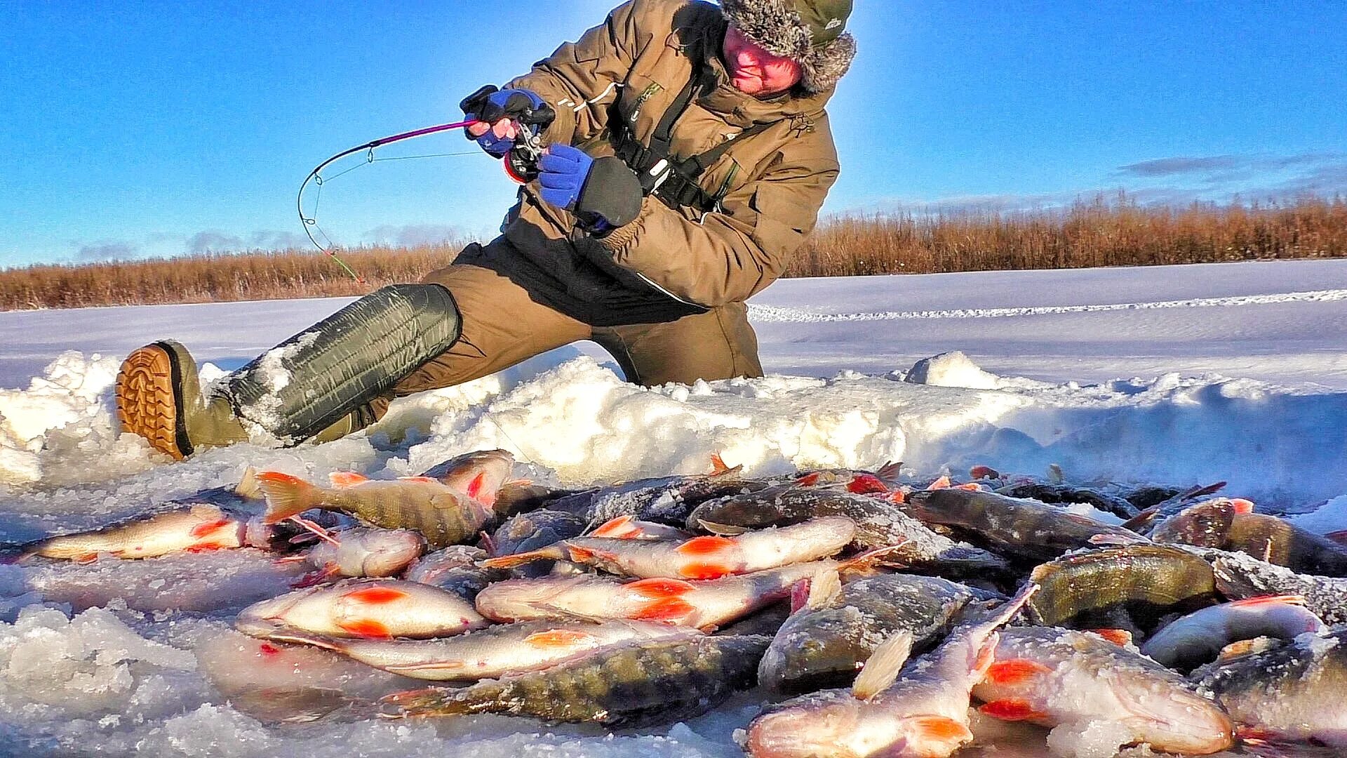 Ловля со льда видео. Первый лед рыбалка. Рыбалка зима 2022. Рыбалка зимой 2022. Рыбалка на льду 2021-2022.