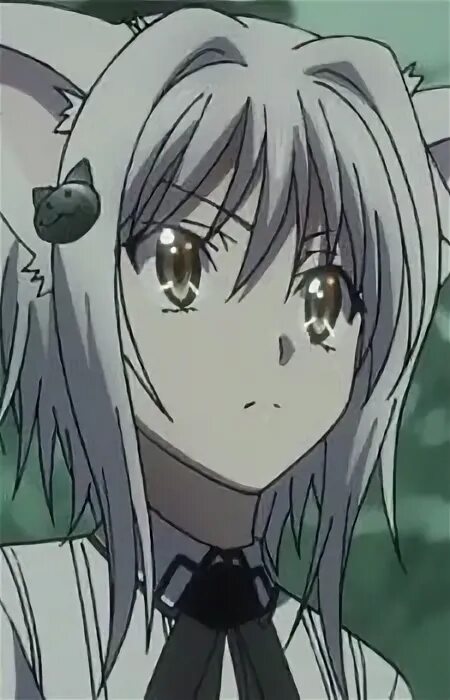 Koneko mari. Koneko mari