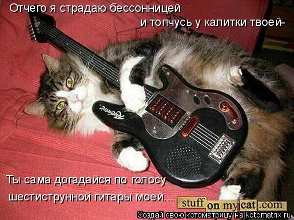 Тишина за рогожской заставою аккорды. Аккорды песен. Слова песни молодая. Ты сама догадайся по голосу ноты для голоса. Ты сама догадайся по голосу.