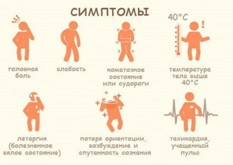 Голова дает температуру. Симптомы солнечного и теплового удара у ребенка. Тепловой удар симптомы у ребенка 2 лет. Симптомы теплового удара у детей 8 лет. Первые признаки теплового удара у взрослых.