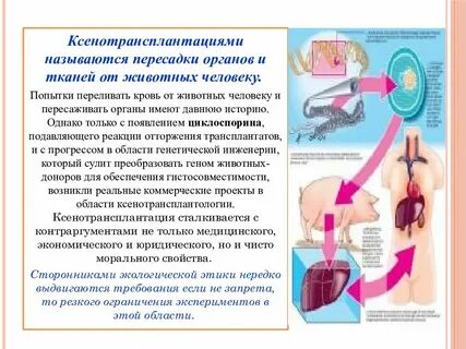 Отторжению органов и тканей