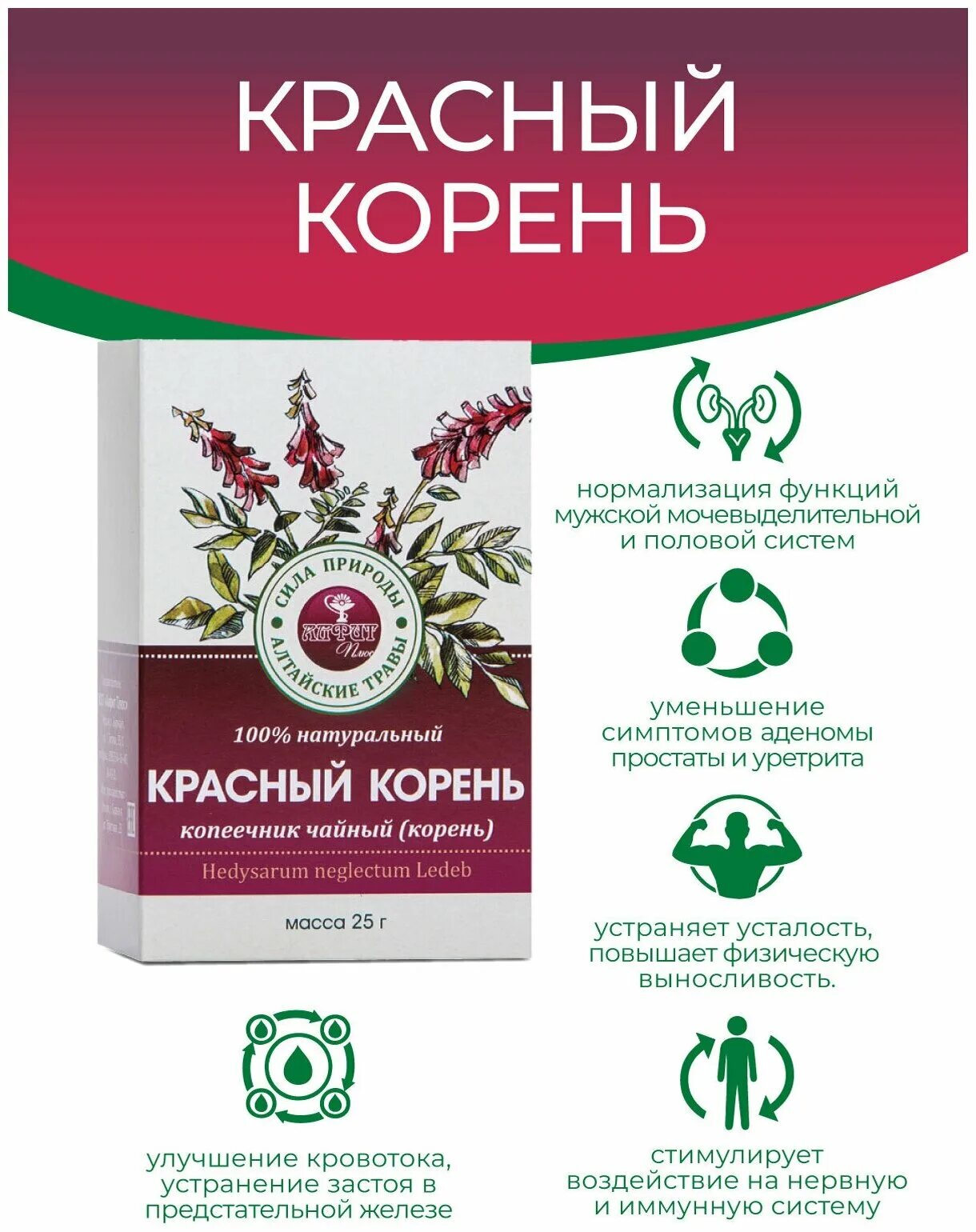 Красный корень что это. Копеечник чайный красный корень. Корень копеечника чайного. Копеечник чайный Алтайские травы. Копеечник чайный.