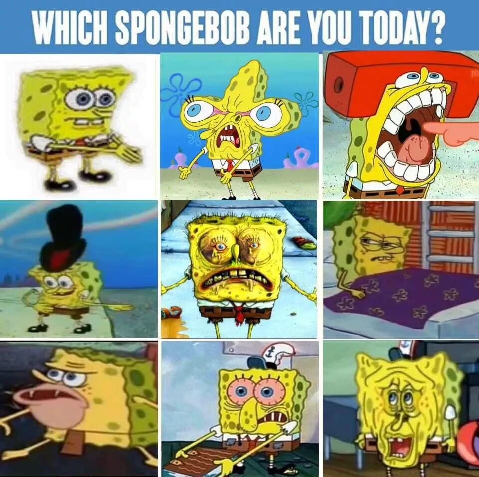 Who are you today. Which Spongebob are you today. How are you feeling on a Scale of. Spongebob what mood. Mood be like