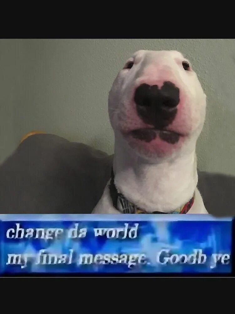 Message goodbye. Change the world my final message. change da world my final message. change da world my final message goodbye. my final message goodbye.
