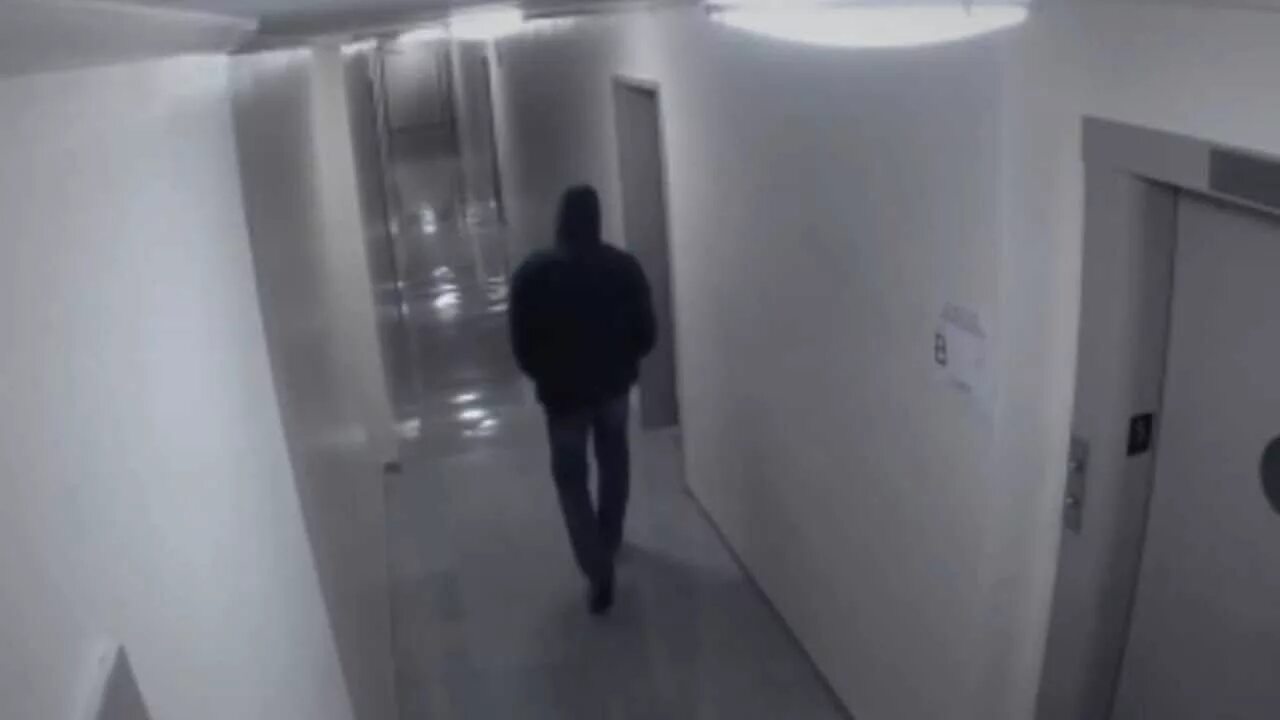 Камеры снимающие в темноте