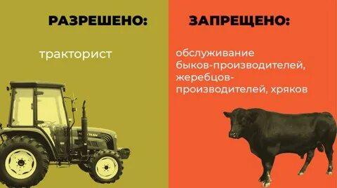 Какие профессии запрещены