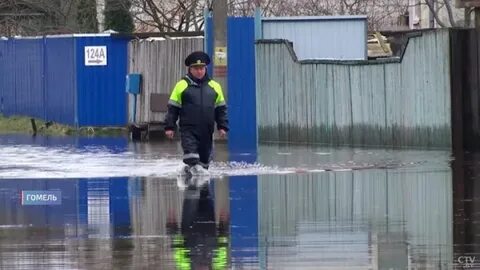 Уровень сожа гомель 2024 сегодня