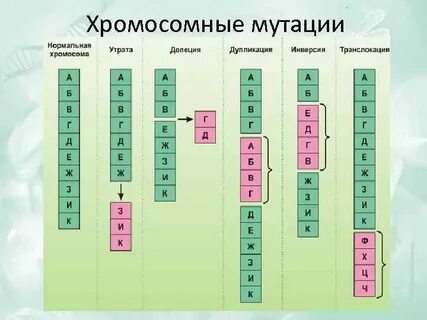 Генные геномные хромосомные мутации