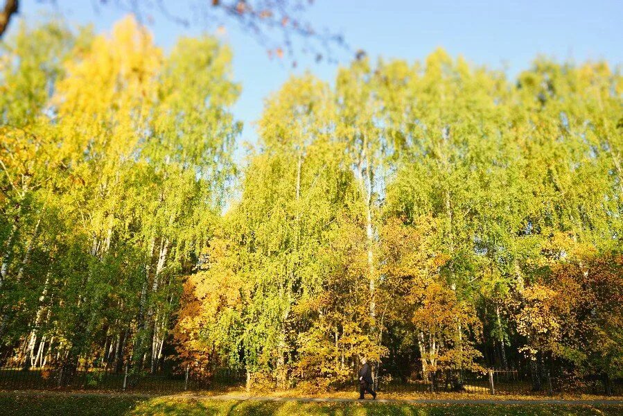 Ревда лист. Фотограф ревда.