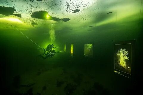 Фонарь под водой