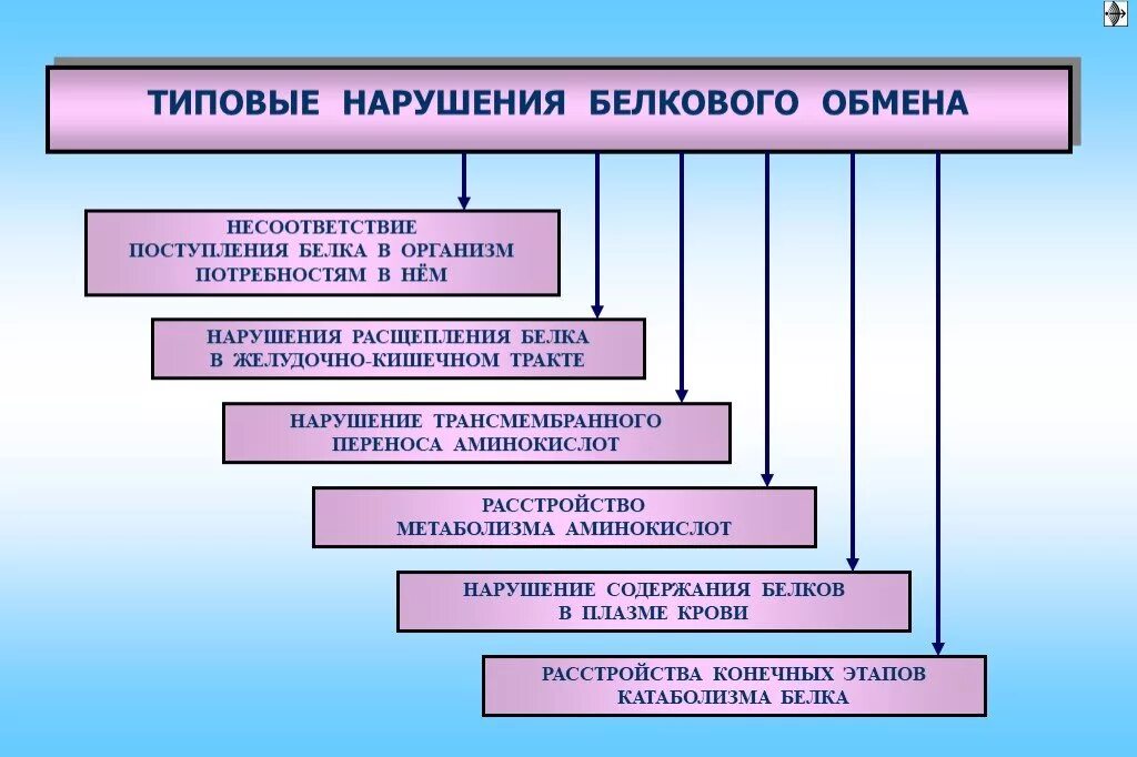 Нарушения белка в организме. Нарушение белкового обмена патофизиология. Расстройства конечных этапов белкового обмена патофизиология. Этапы нарушения белкового обмена. Патогенез нарушений белкового обмена патофизиология.