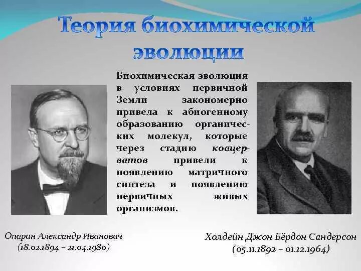 Один из авторов абиогенного происхождения жизни. Опарин биохимическая Эволюция. Опарин и Холдейн. Теория биохимической эволюции Опарина. Теория биохимической эволюции ученые.