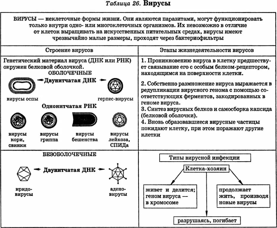 Бактерии и вирусы 5 класс