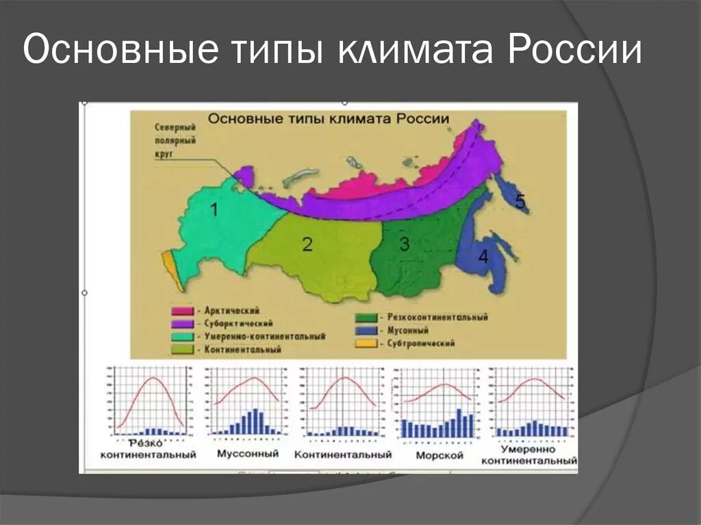 Типы климата умеренного пояса России. Географическое положение климатических поясов России. Континентальный климат на карте России. Климатические пояса и типы климата в Росси