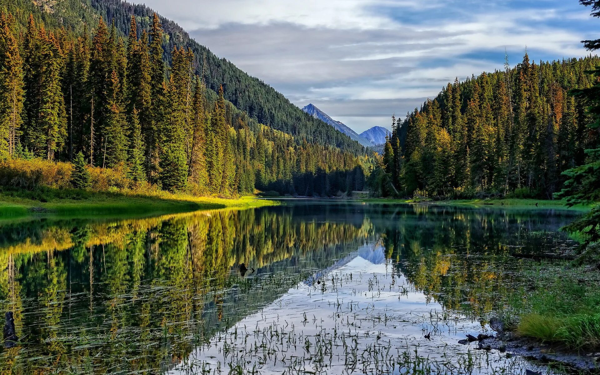 Бесплатные картинки. Озеро Рица. Лесное озеро (Forest Lake). Лесное озеро в Канаде. Лесное (озеро, Северная Америка).