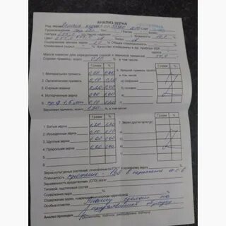 Зерно разбор 1