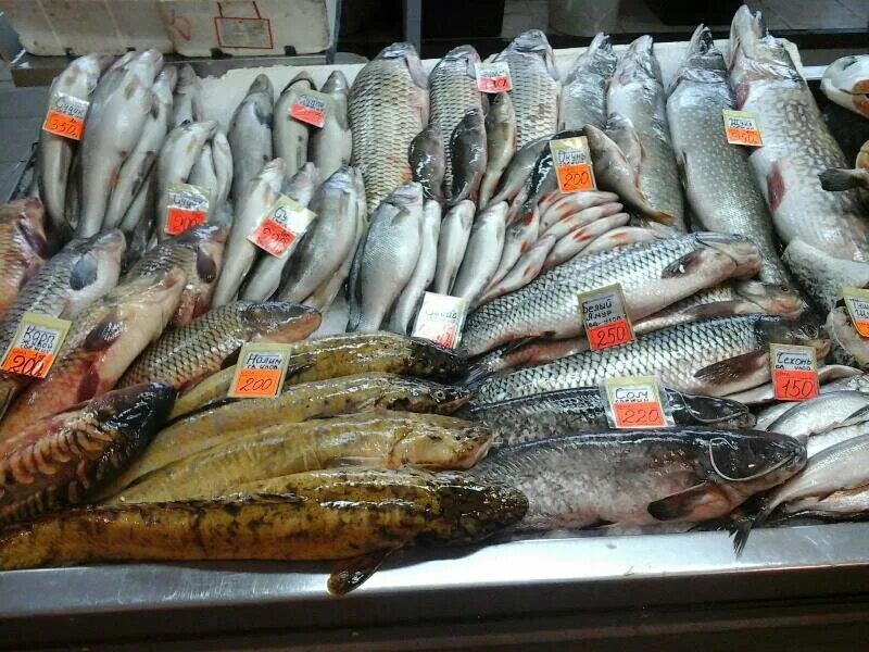 Рыба белгород купить. Рыба на рынке. Самая дешевая рыба в магазине. Самая дешевая рыба. Живая рыба на рынке.