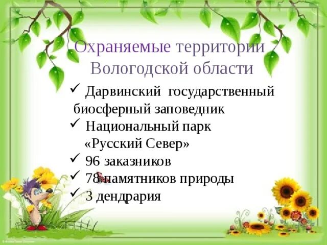 Вологодская область охраняемые территории. Вологодская область охраняемые территории. Вологодская область охраняемые территории. Географическая карта вологды. Вологодская область охраняемые территории.