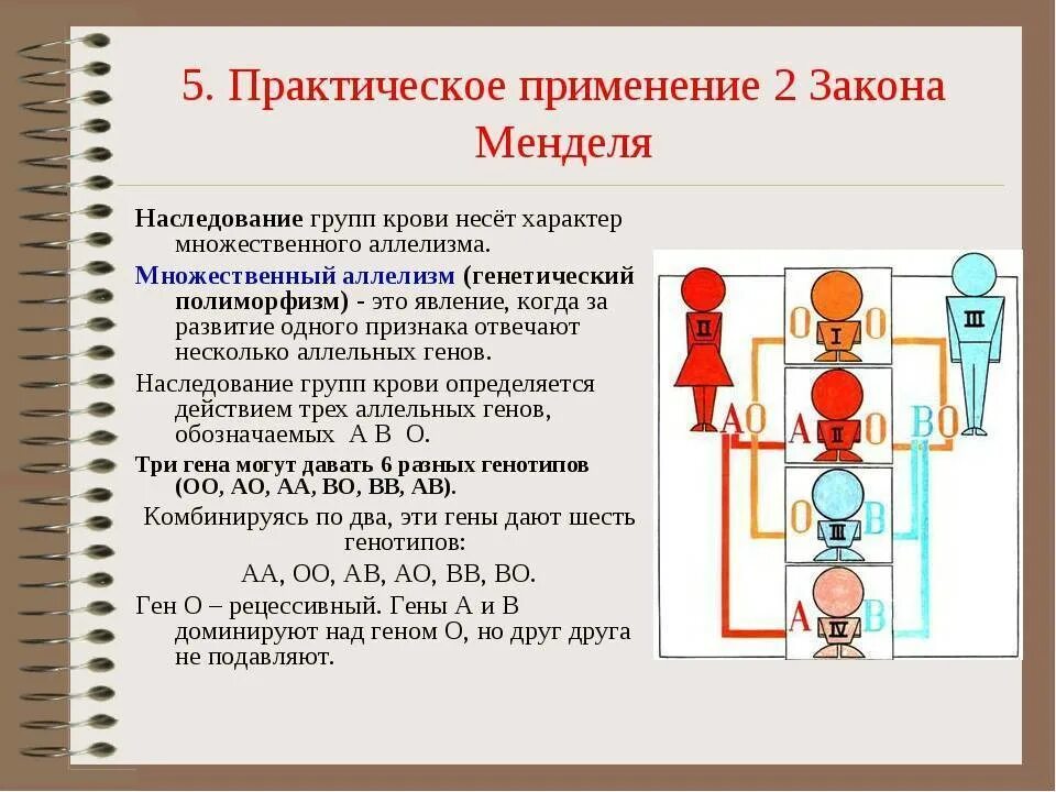 Закон наследования группы крови. Наследование групп крови Менделя. Закон Менделя генетика группа крови. Наследование групп крови системы ав0 и резус-фактора. Резус фактор наследуется аутосомно