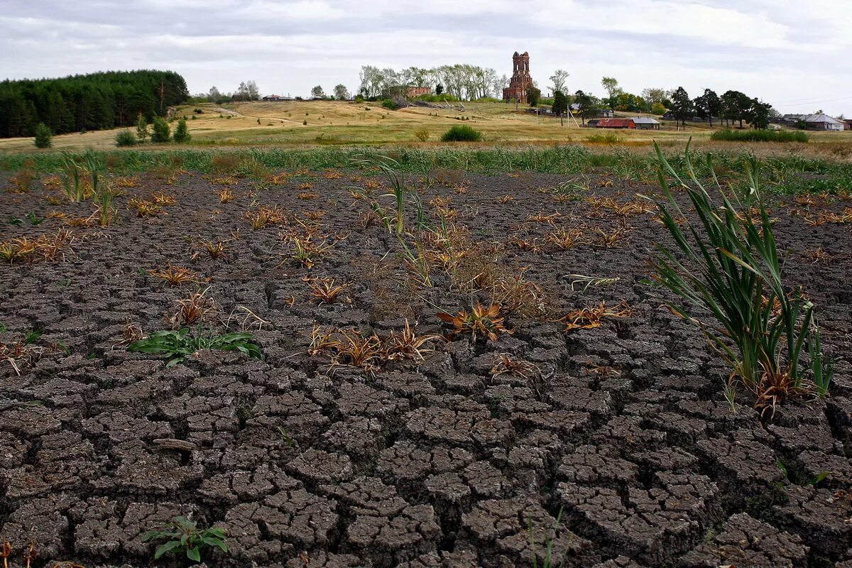 Семья с потеряла по причине засушливого лета. Сухая почва. Засуха в поле. Летняя засуха. Засушливое лето.