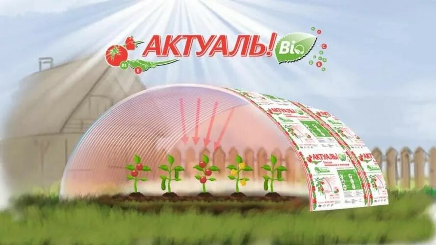 Поликарбонат для теплицы актуаль био. Поликарбонат Актуаль био 4 мм. Сотовый поликарбонат Актуаль. Поликарбонат сотовый 4мм Актуаль био. Сотовый поликарбонат Актуаль био.