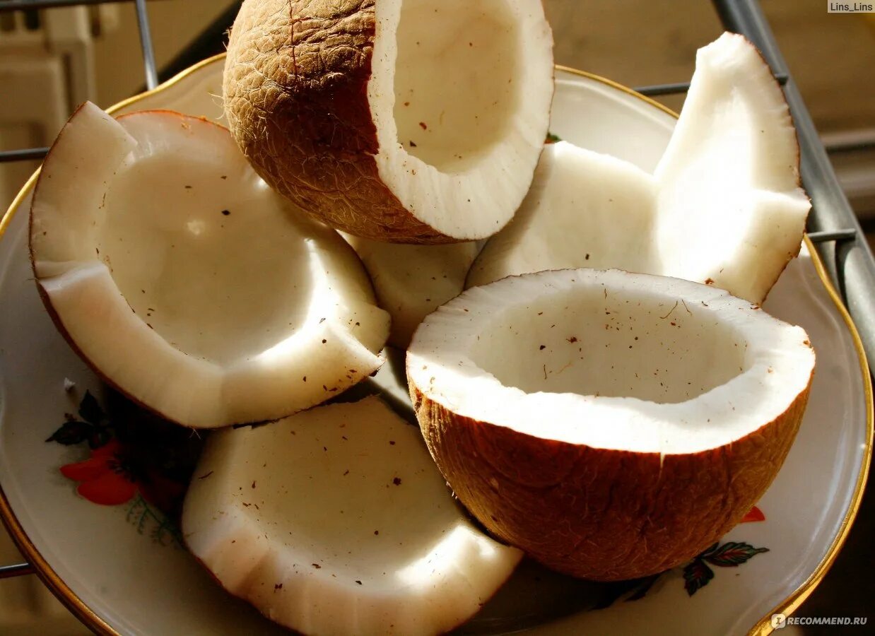 Мороженое из кокосового молока. Изделия из кокоса. Плод кокосовой пальмы. Кокосовый орех. Кокосовое молоко приготовление.